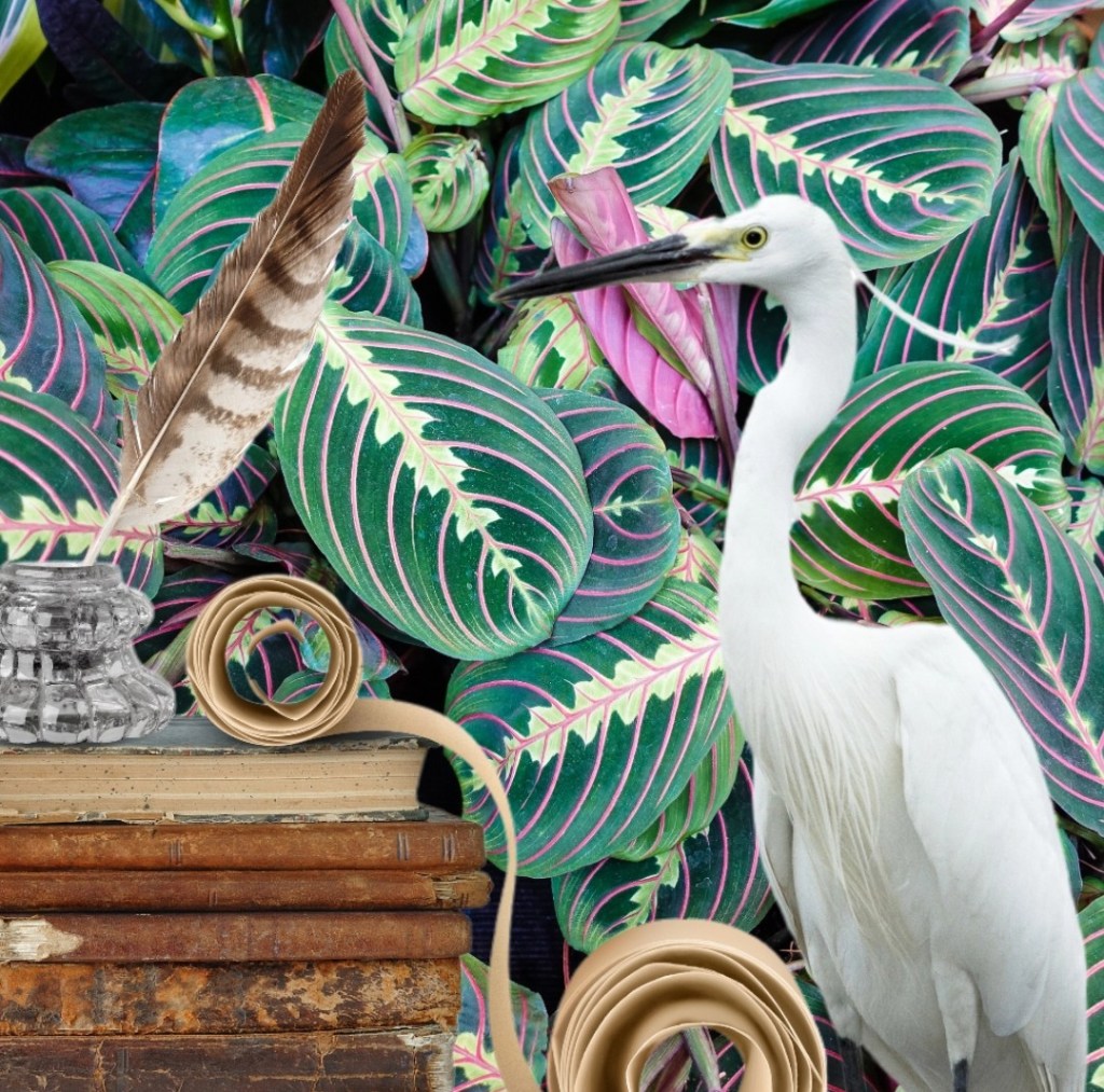 return with joy: the&nbsp;egret